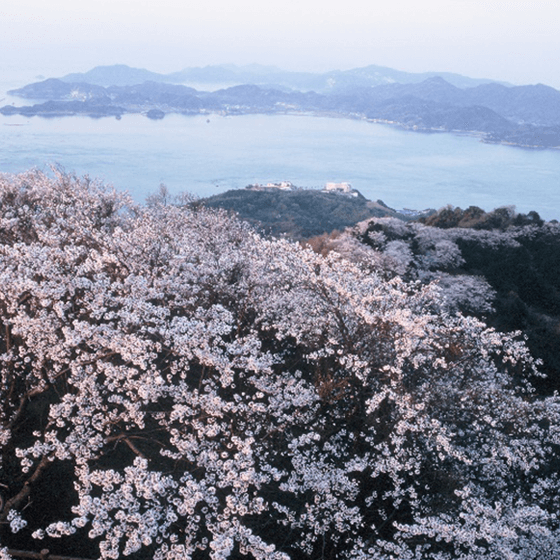 岩城　積善山