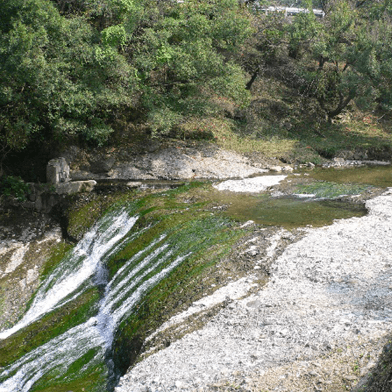 衝上断層公園